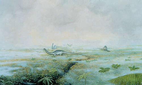 Drawing of an ancient landscape with long necked dinosaurs grazing on grass