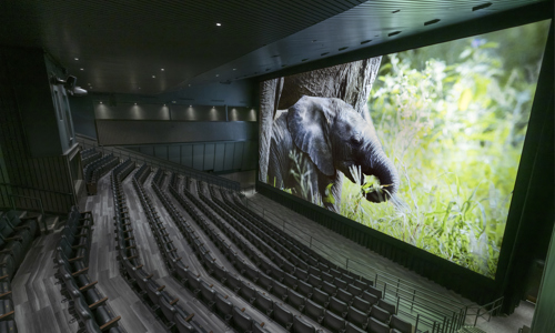 Infinity Theater With Elephant On The Screen