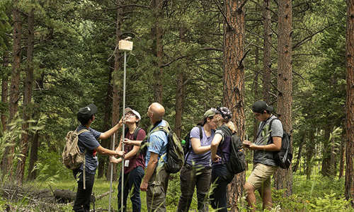 A group of students and a curator stand in a wooded area holding a large pole with a bird on top of it, as a part of fieldwork