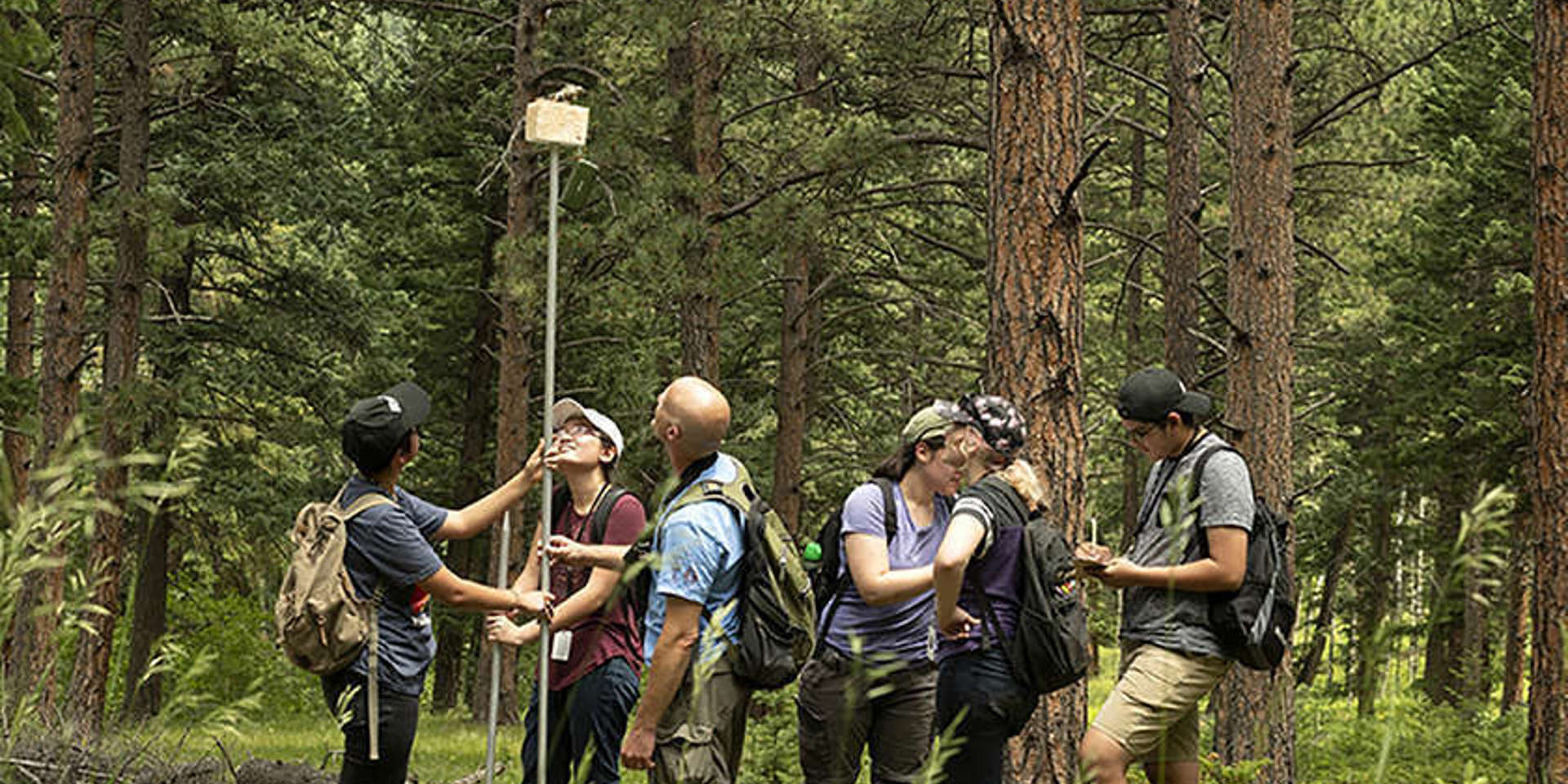 A group of students and a curator stand in a wooded area holding a large pole with a bird on top of it, as a part of fieldwork