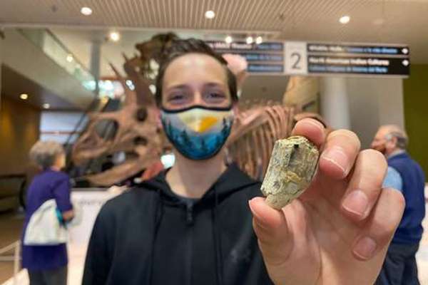 Teenager holds dinosaur tooth