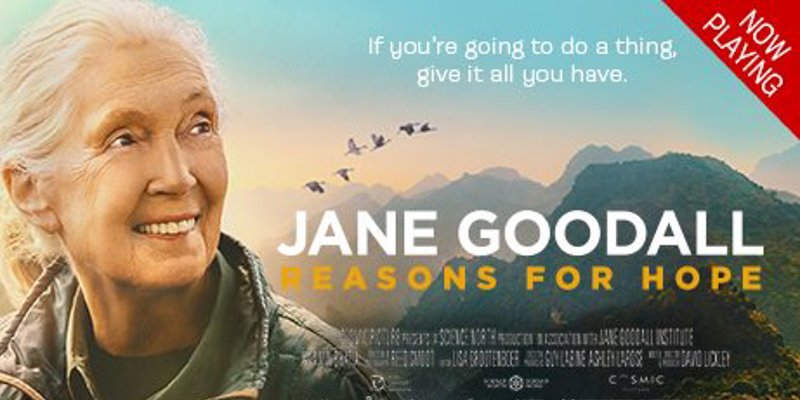 Jane Goodall - Reasons for Hope Movie Poster