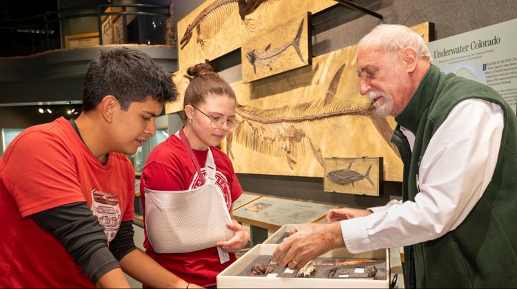 A Museum volunteer shows fossils to two teens 