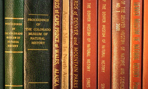 Spines of 10 books, older with various titles and colors