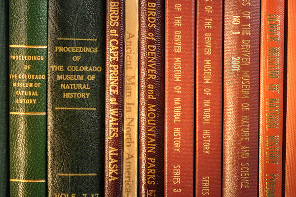 green and red book spines, older books