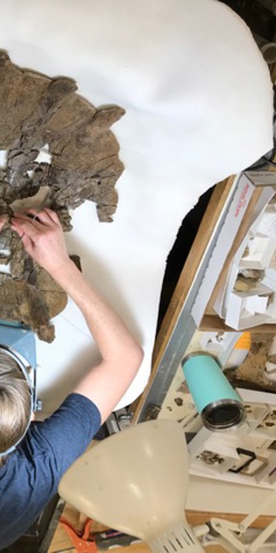 Getty fossil lab intern working on a specimen.