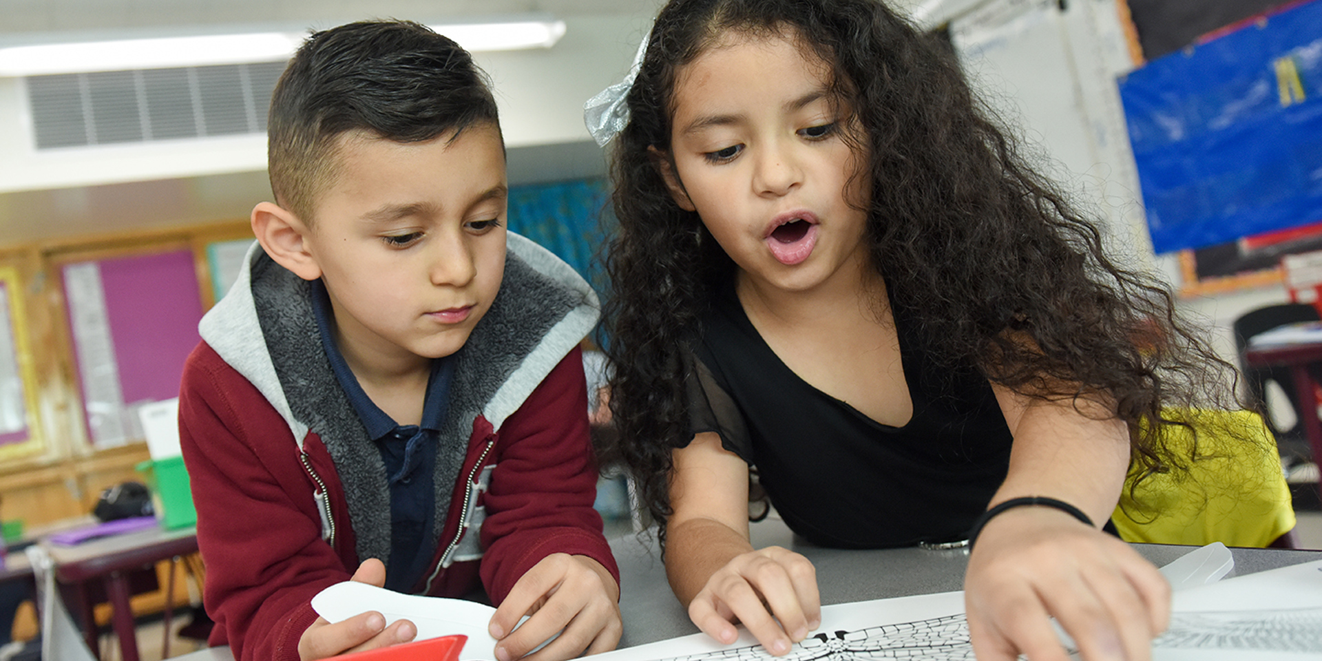 Students look in awe at a paper showing different shapes of bird wings