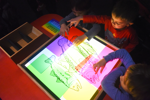 Young children play with color filtered light box.