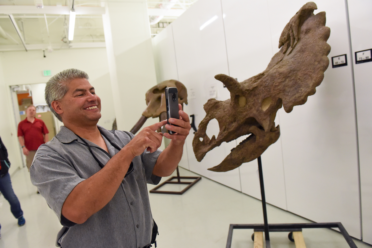 A man takes a picture on his phone of a triceratops skull model.