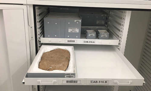 Drawer in large cabinet open to reveal properly housed artifacts in blue boxes