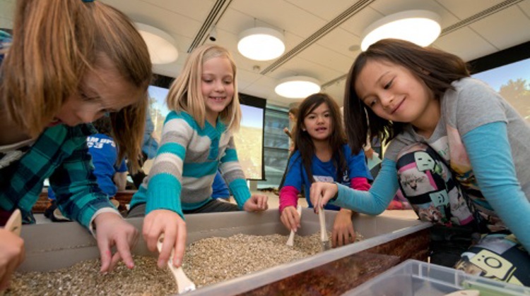 Four children dig for fossils with brushes