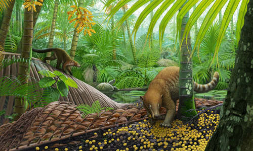 Colorful drawing of an ancient palm forest with a couple of small mammals and reptiles in the foreground